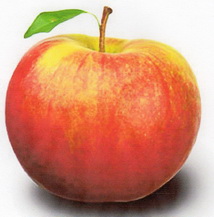 Apfel