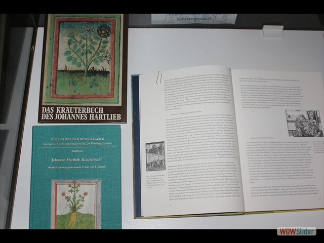 Hartlieb,StrF2018-01