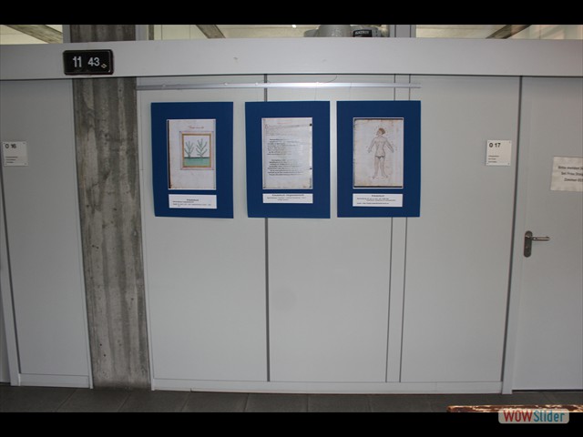 Hartlieb,StrF2018-07