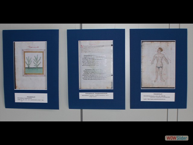 Hartlieb,StrF2018-07a